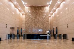 PLUS (D1), Office #559330791